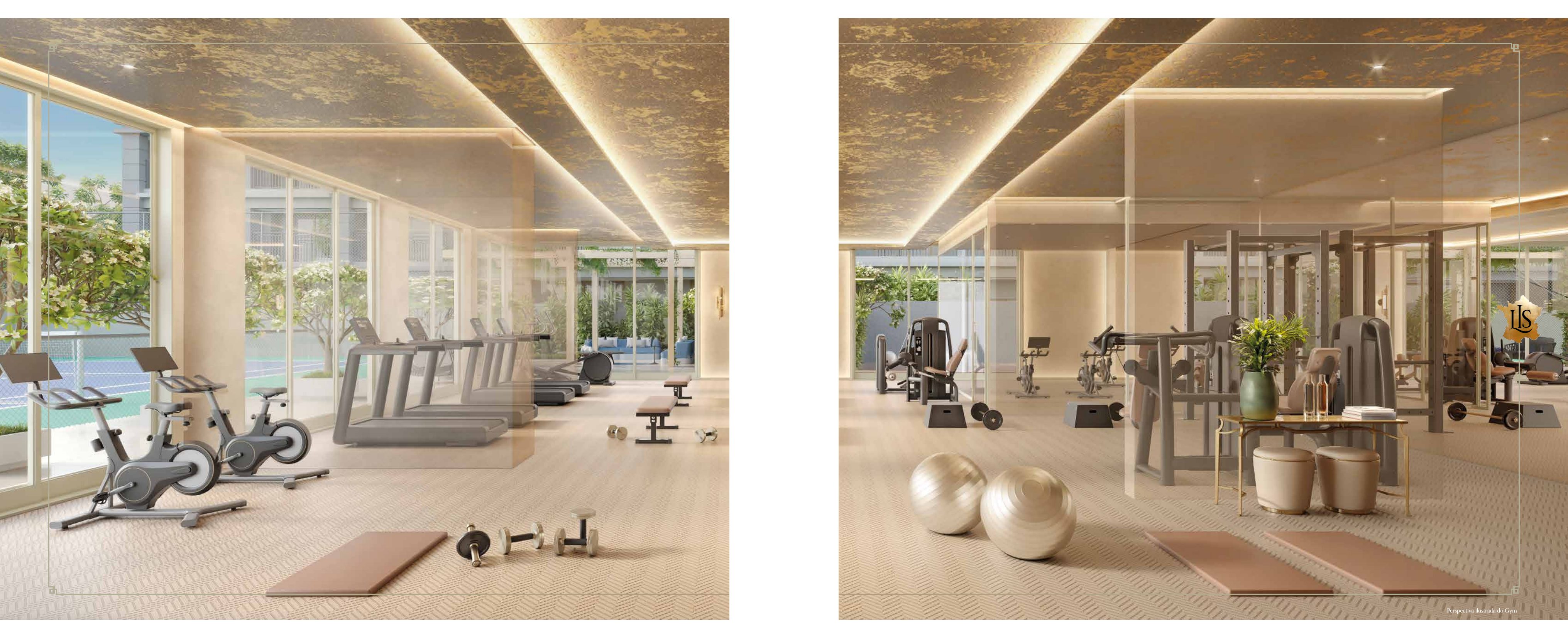 Perspectiva ilustrada: Gym